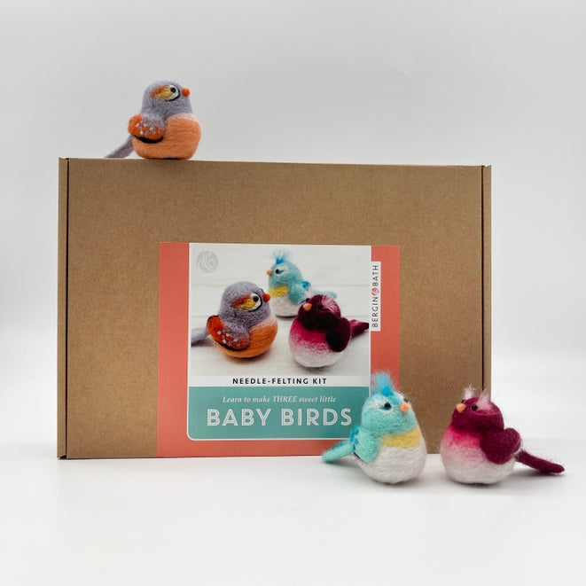 Baby Birds — Needle Felting Kit